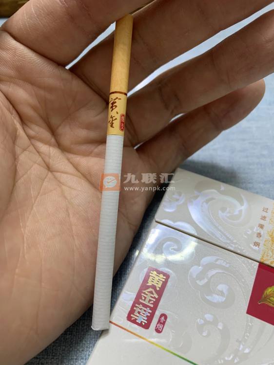 黄金叶(黄金细支)相册