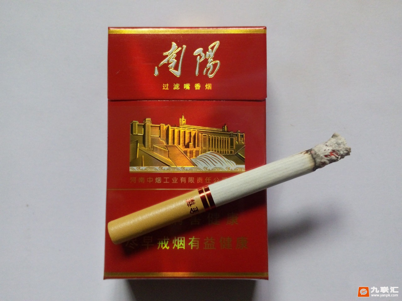 黄金叶大红南阳相册
